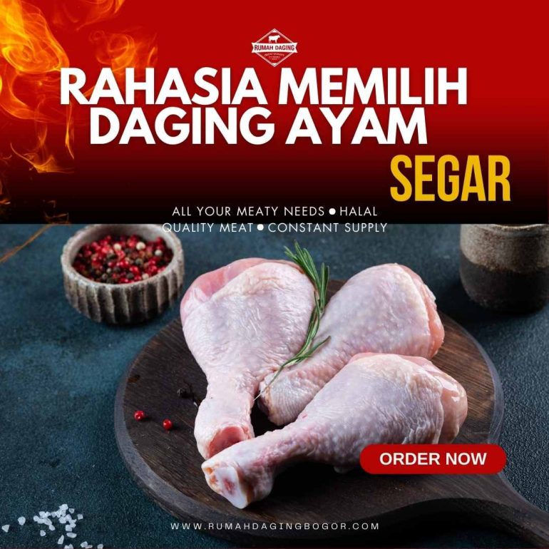 Rahasia Memilih Daging Ayam Segar: Panduan untuk Konsumen dan Pengusaha Kuliner